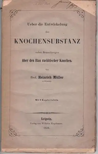 Müller, Heinrich: Ueber die Entwicklung der Knochensubstanz nebst Bemerkungen über den Bau rachitischer Knochen. Sonderdruck aus: Zeitschrift für wissenschaftliche Zoologie 9. 