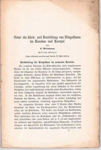 Heitzmann, Carl: Ueber Rück- und Neubildung von Blutgefässen im Knochen und Knorpel. Sonderdruck aus: Medizinische Jahrbücher d.k.k.Gesellschaft d.Ärzte Jhg.1873. 