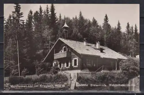 [Echtfotokarte schwarz/weiß] Waldheimat-Alpl bei Krieglach , 1100m Seehöhe Steiermark Waldschule 36982. 