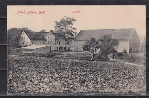 [Echtfotokarte schwarz/weiß] Mohlis (oberes Gut) Gestüt. 