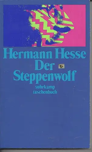 Der Steppenwolf, Erzählung, Hermann Hesse, suhrkamp