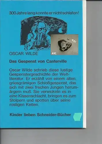 Das Gespenst von Canterville, Oscar Wilde, Schneiderbuch