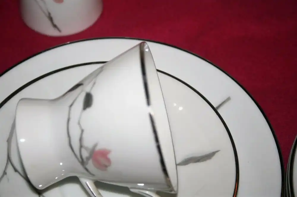 (N117) Rosenthal-Service-50er 11