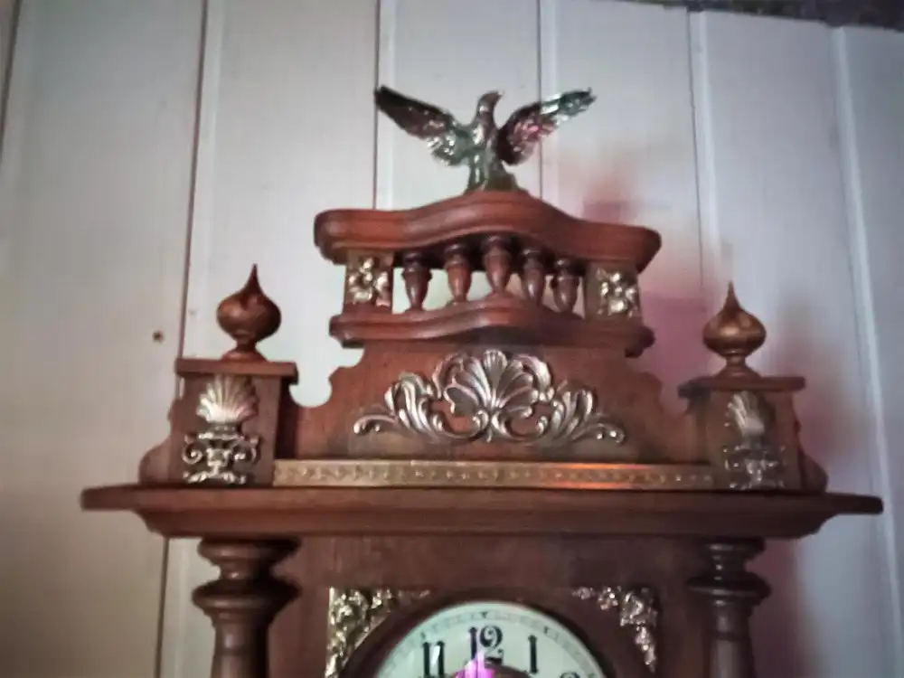 Freischwinger Eiche 2