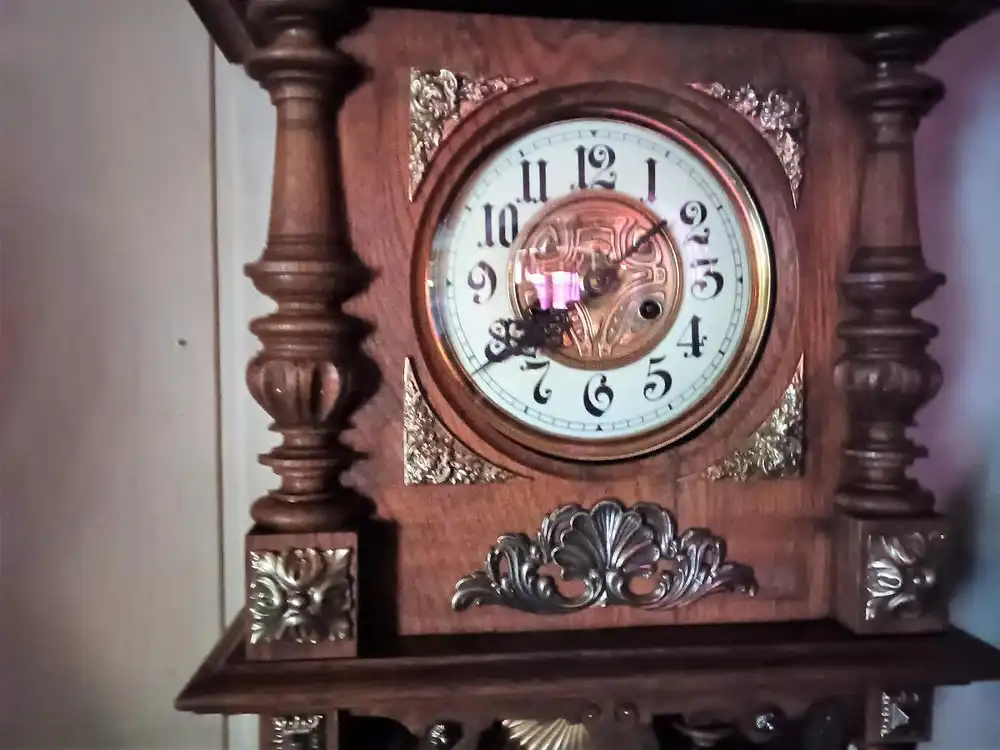 Freischwinger Eiche 4