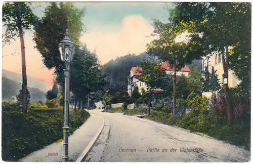 [Ansichtskarte] Ansichtskarte Ilmenau Partie an der Waldstraße 1913. 