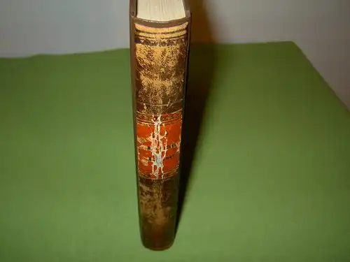 Mayer, J: Die Donau-Reise und ihre schönsten Ansichten. 