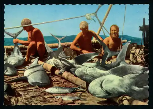 AK  Expedition Kon - Tiki 1947 : a day's catch ..... [ D012 ]