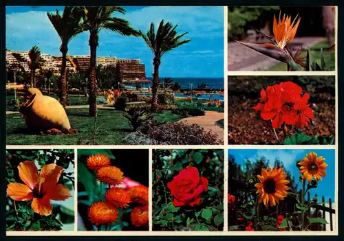 AK  Playa del Ingles - Gran Canaria ..... [ D038 ]