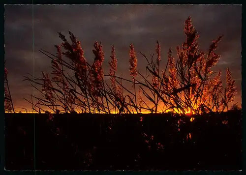 AK   Graslanschaft  ..... [ D146 ]