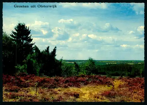 AK   Groeten uit Oisterwijk ..... [ D159 ]