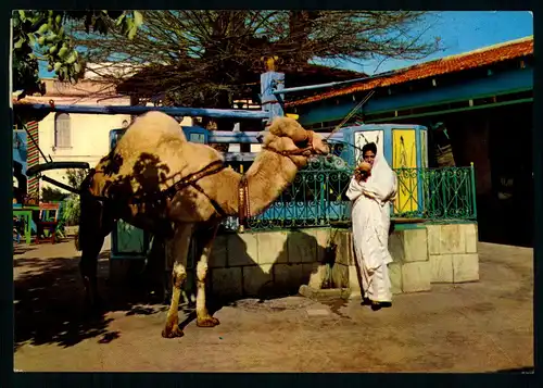 AK   La Marsa ..... [ D181 ]