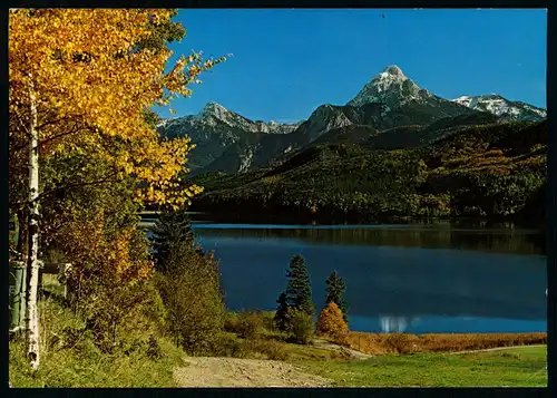 AK   Weissensee im Ostallgäu mit Säuling + Straußberg ..... [ D236 ]
