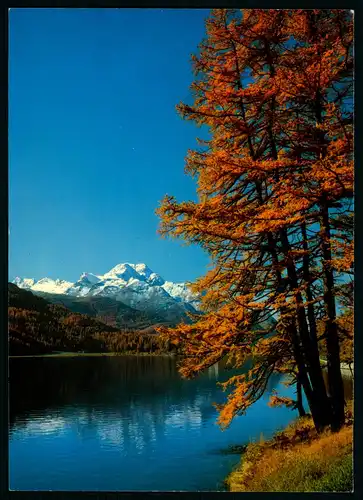 AK   Herbsttag am Silvaplanersee ..... [ D265 ]