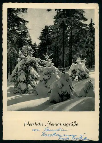 AK   Herzliche Neujahrsgrüße ..... [ D283 ]