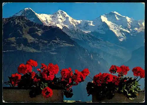 AK   Blick vom Harderkulm auf Eiger , Mönch + Jungfrau - Interlaken ..... [ D334 ]