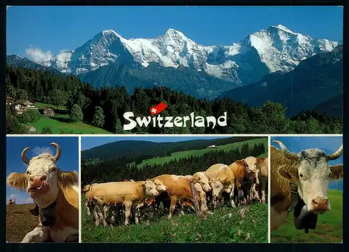 AK   Eiger , Mönch + Jungfrau  ..... [ D335 ]