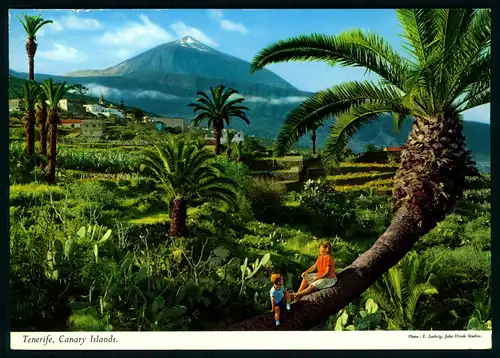 AK    Tenerife : Lanschaft im Norden ..... [ D357 ]