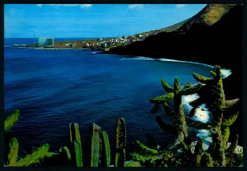 AK    Punta de Hidalgo : Tenerife ..... [ D358 ]