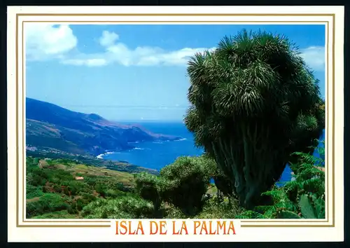 AK   La Tosca - Barlovento - La Palma - Islas Canarias ..... [ D468 ]