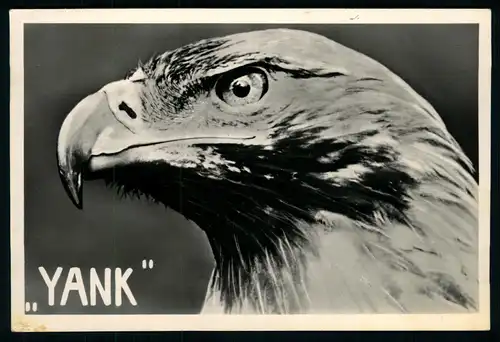 AK    YANK ..... [ D725 ]