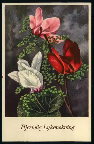 AK   aus Dänemark : Hjertelig Lykonskning ..... [ D800 ]