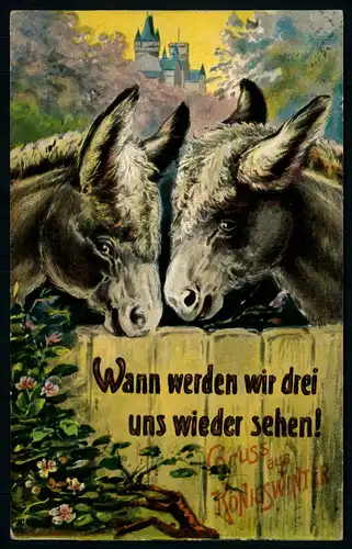 AK   Königswinter : Wann werden wir drei uns wieder sehen ..... [ D810 ]