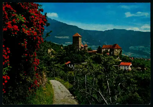 AK    Schloss Tirol bei Meran von St. Peter aus gesehen ..... [ D922 ]