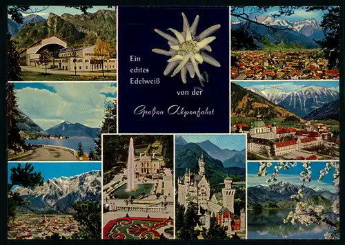 AK    Edelweiß von der großen Alpenfahrt ..... [ D945 ]