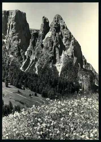 AK   Seiser Alm - Der Schlern ..... [ D983 ]