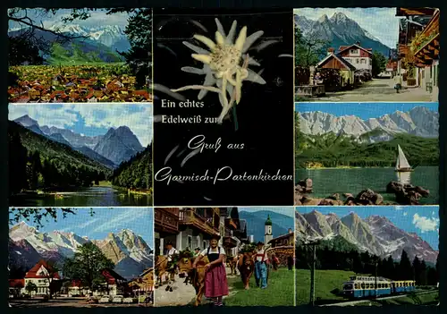 AK   Ein echtes Edelweiß : Garmisch - Partenkirchen ..... [ D985 ]