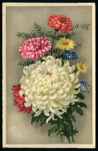 AK   Blumenstrauß ..... [ H057 ]