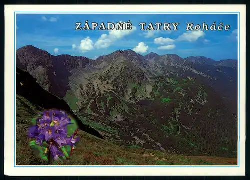 AK   Západné Tatry / Westtatra - Panorama Rohácoc od Rákona ..... [ H183 ]