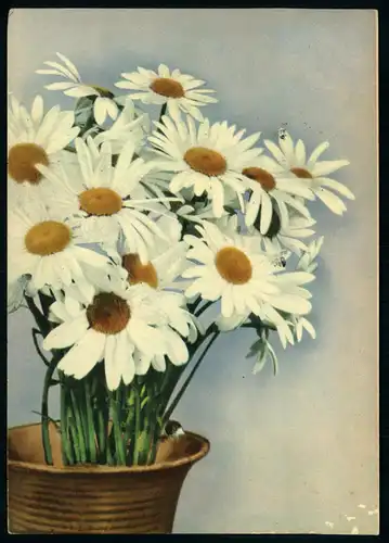 AK   Blumenstrauß ..... [ H210 ]