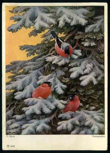 AK   F. Murr : Dompfaffen ..... [ H212 ]