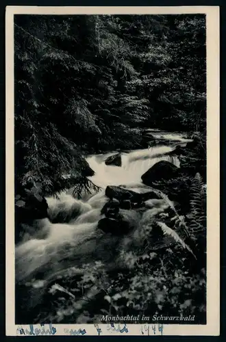 AK   Monbachtal im Schwarzwald ..... [ H328 ]