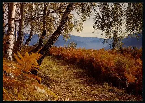 AK   Herbsttag in Bayern ..... [ H410 ]