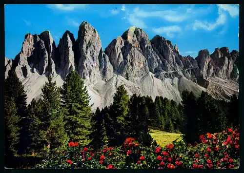 AK    die Geislerspitzen - Le Punte Odle / Dolomiti / Dolomiten ..... [ H510 ]