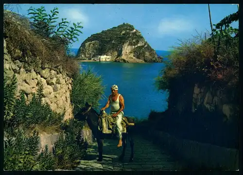 AK    Ischia - Il Castello / das Schloss ..... [ H513 ]