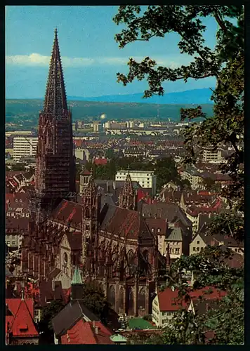 AK    Das Münster in Freiburg im Breisgau ..... [ H588 ]