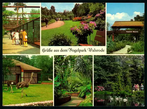 AK    Vogelpark Walsrode ..... [ H616 ]