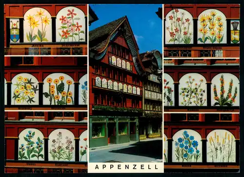 AK    Appenzell - Löwen Drogerie in der Hauptstrasse ..... [ H649 ]
