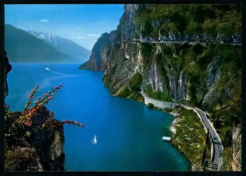 AK    Riva del Garda  : Le due strade : Gardesana e Ponale / die 2 Strassen : Gardesana + Ponale ..... [ H709 ]