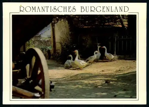 AK    romantisches Burgenland ..... [ H735 ]