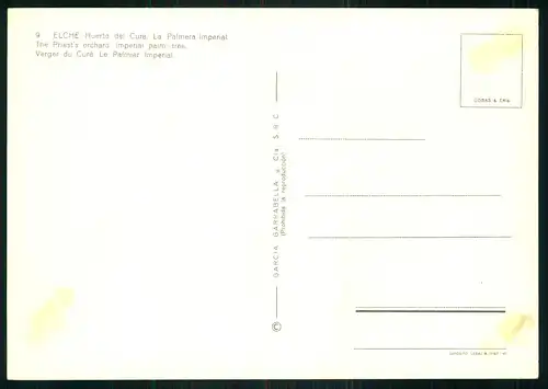 AK    Elche - Huerto del Cura , La Palmera Imperial ..... [ H884 ]