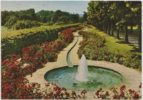 [Echtfotokarte farbig] 6990 Bad Mergentheim Wasserspiele im Kurpark. 