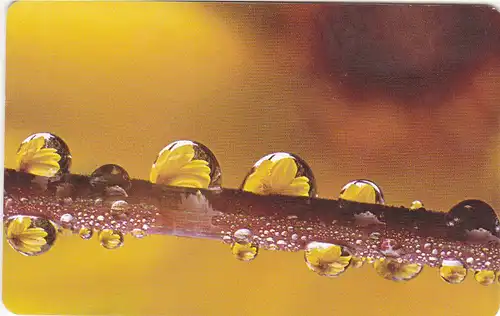 Telefonkarte P14 10.01 