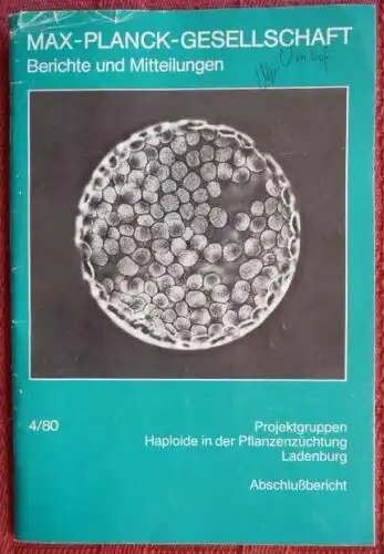 MPI Pflanzengenetik, Ladenburg - Pflanzenzüchtung Raps und Roggen - 4 / 1980