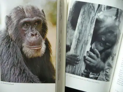 MENSCHENAFFEN - Harrisson: Orang-Utans/Lawick-Goodall: Schimpansen - 2 HC