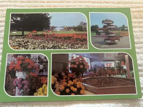 [Echtfotokarte farbig] Deutsche Demokratische Republick, Internationale Gartenbauausstellung Erfurt. 